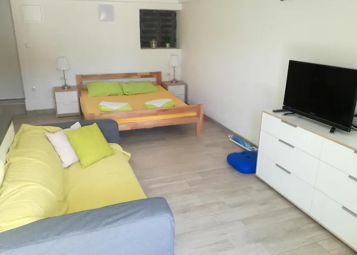 Apartment Dvorska